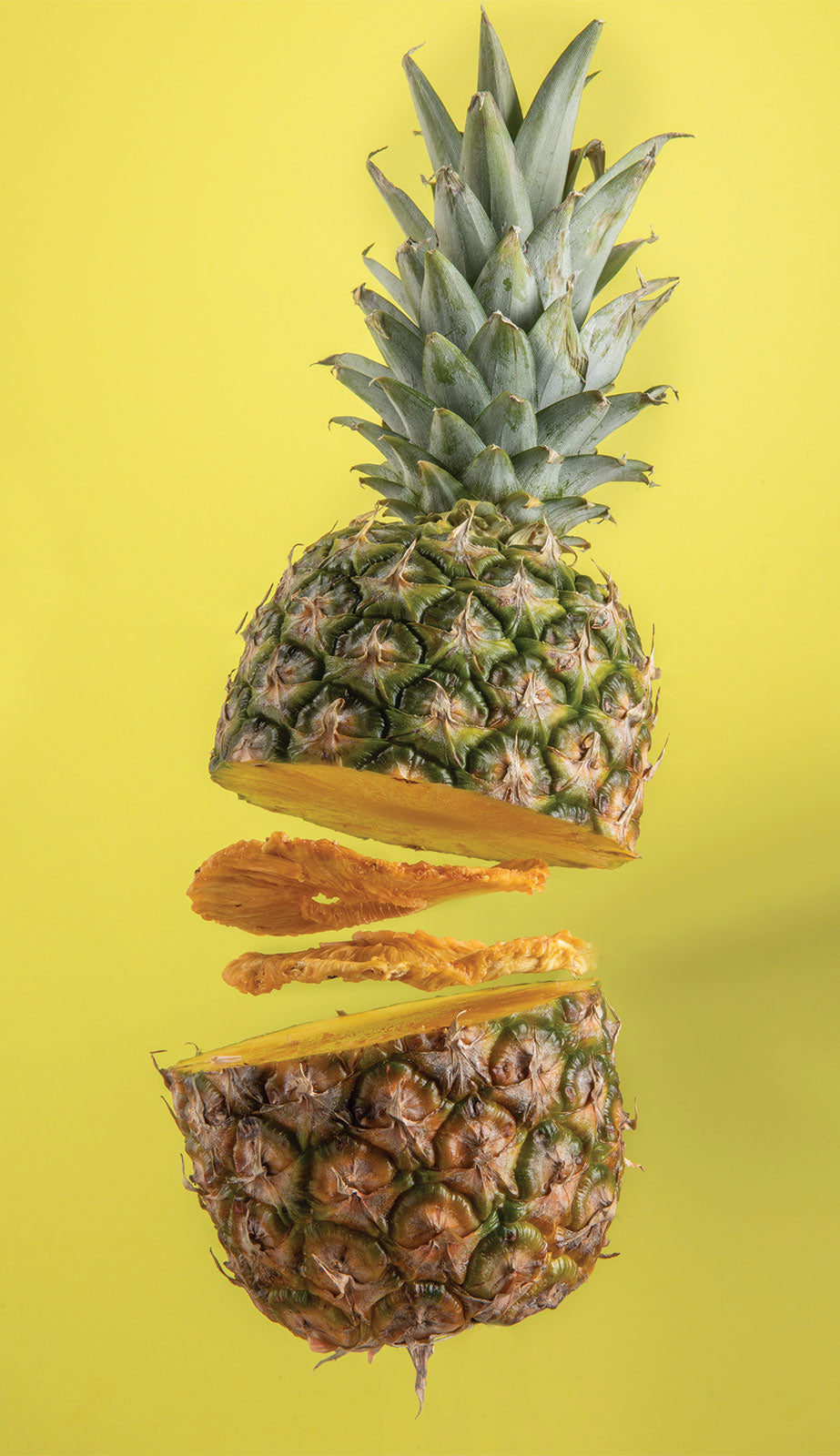 ANANAS – Galerie 5