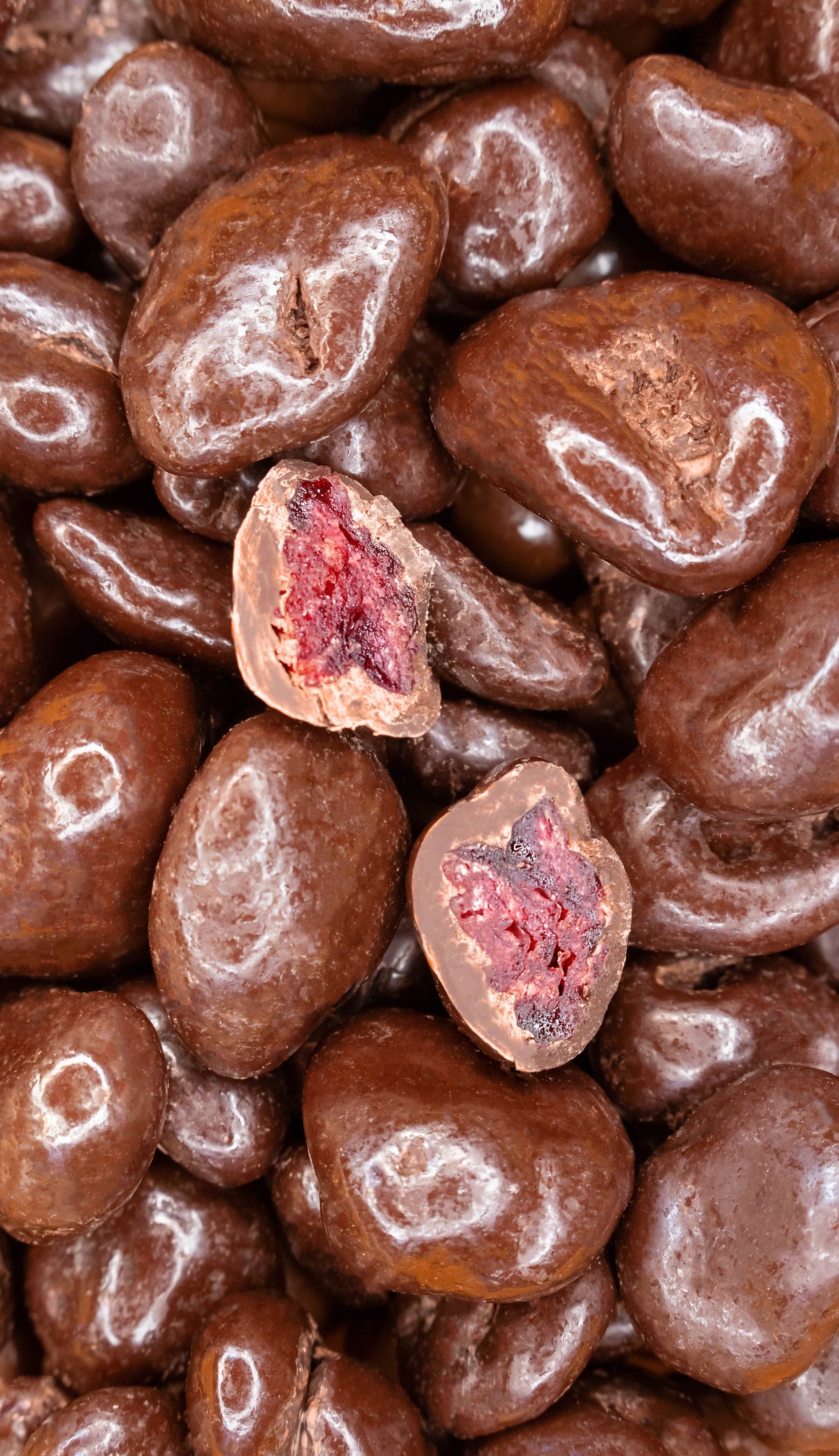 CRANBERRY – Galerie 2