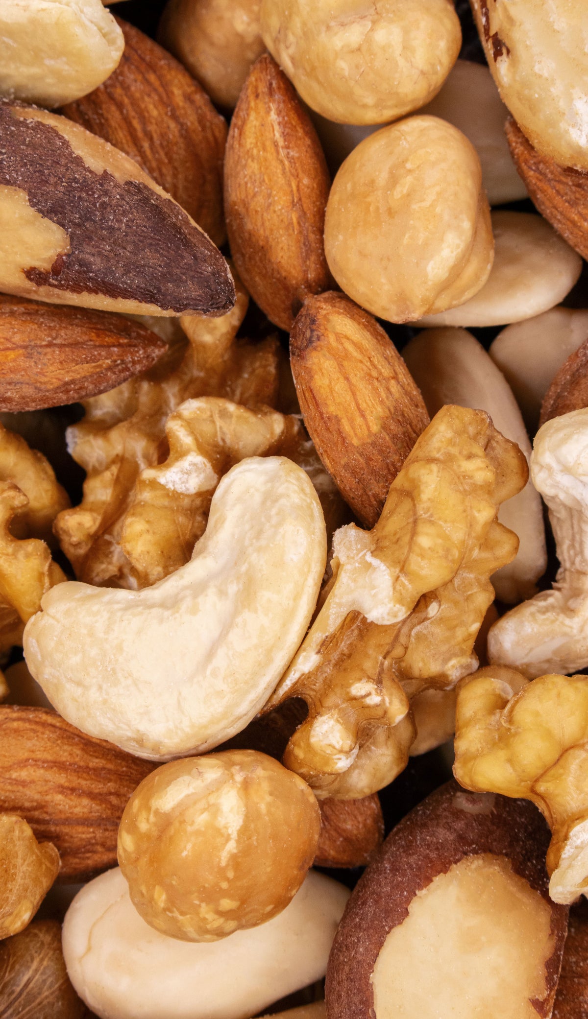 HIGHLY NUTS – Galerie 2