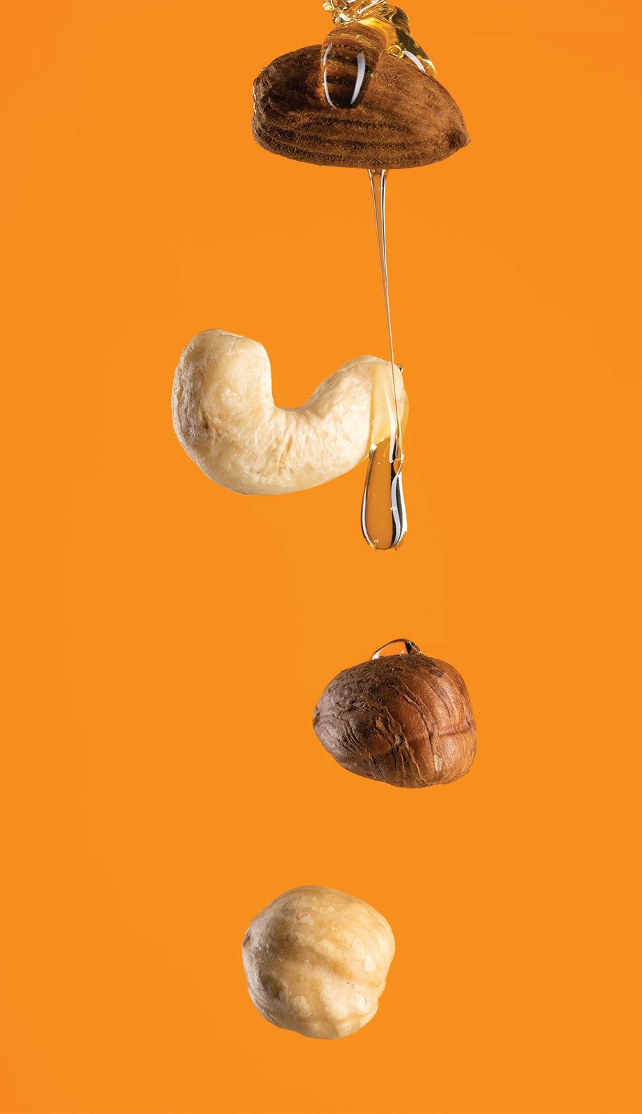 HONEY – Galerie 4