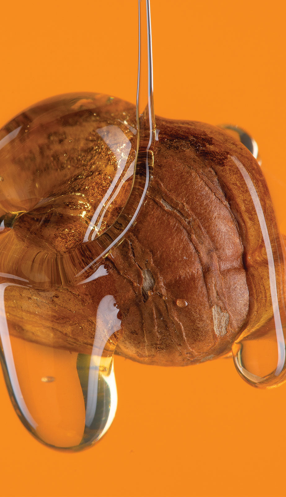 HONEY – Galerie 5