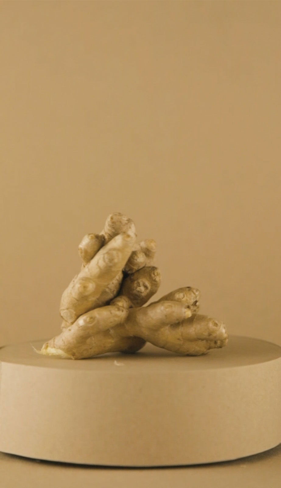 INGWER – Galerie 5