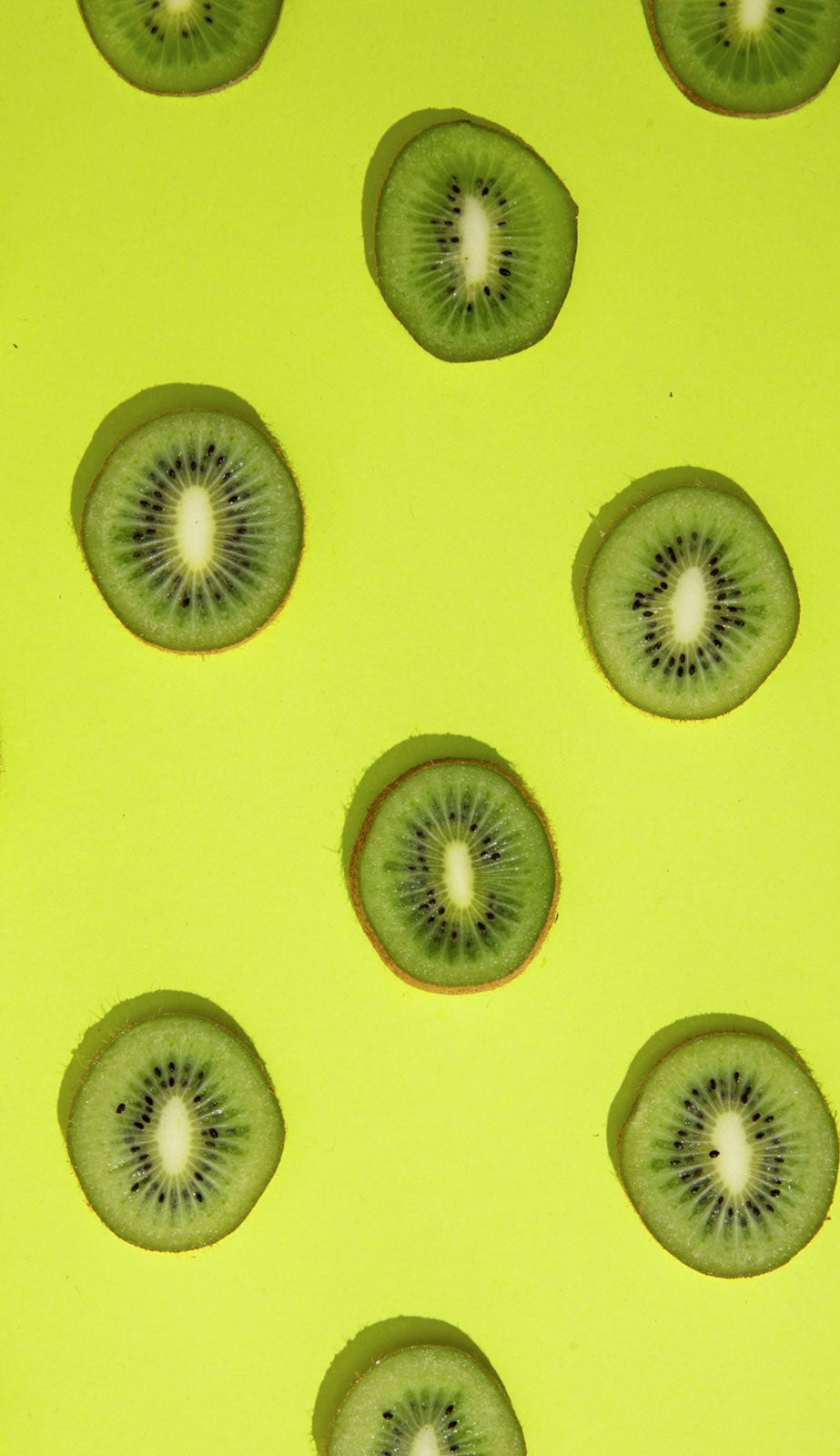 KIWI – Galerie 4